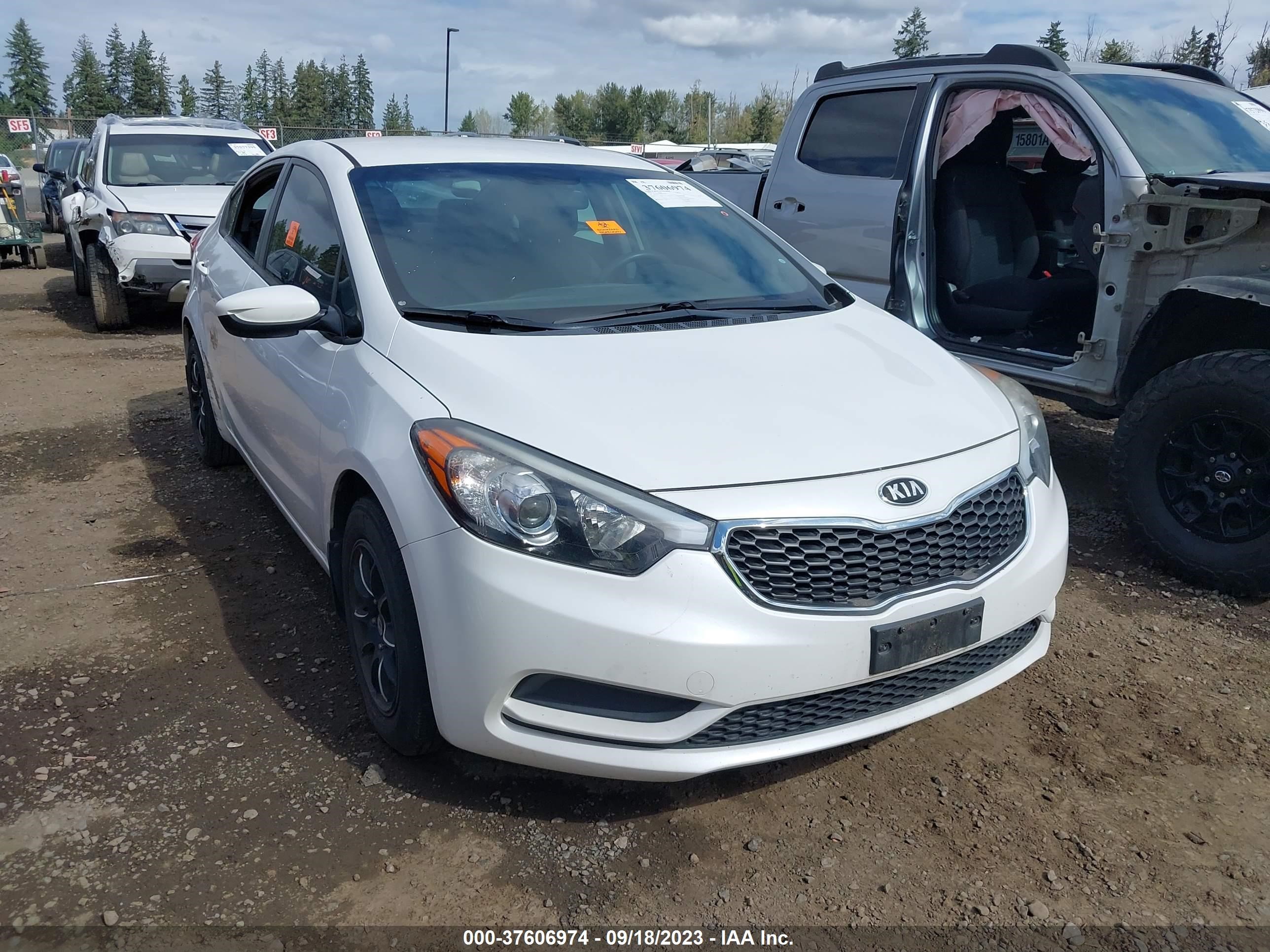 KIA FORTE 2014 knafk4a6xe5075097