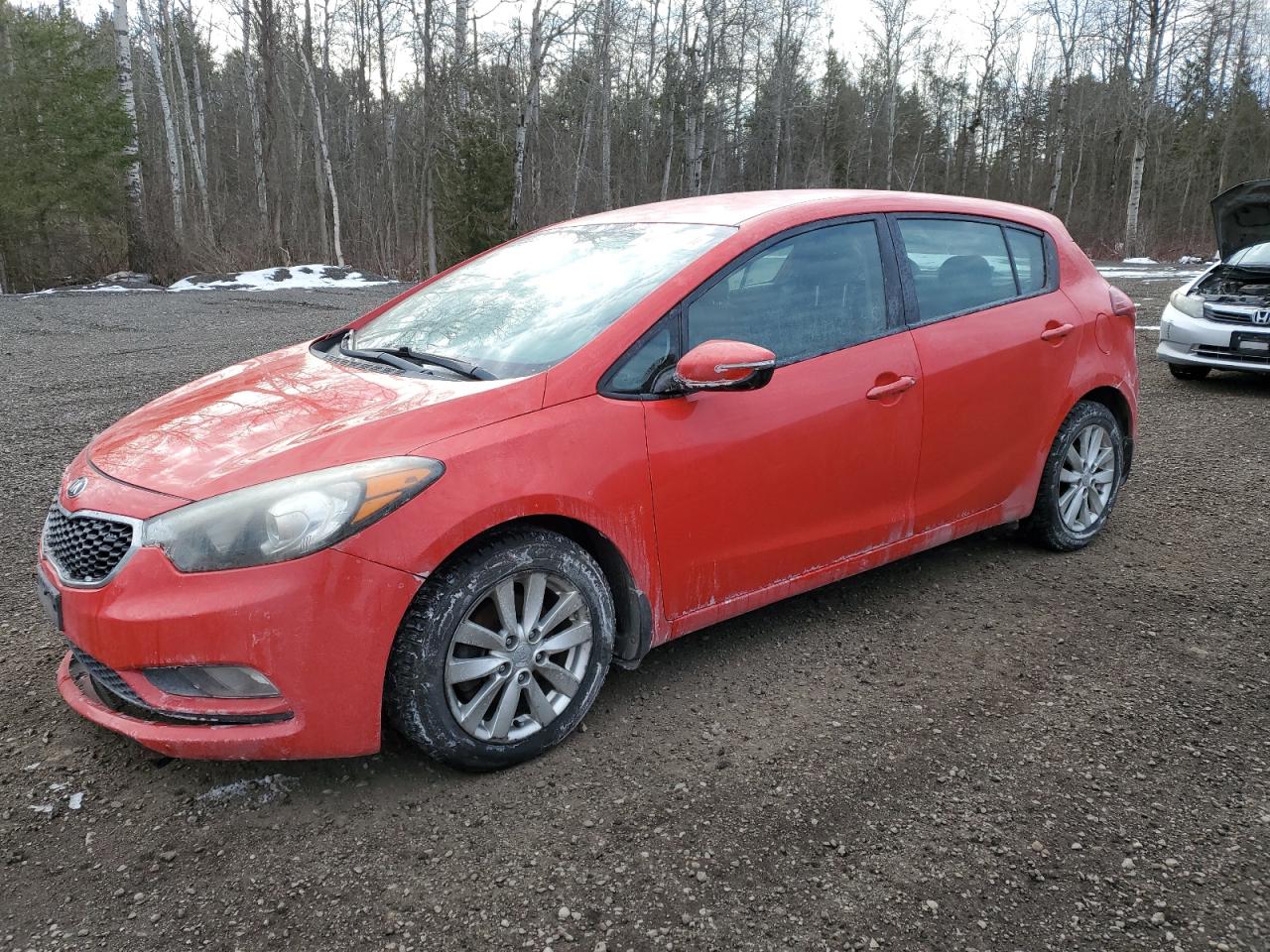 KIA FORTE 2015 knafk5a81f5313816