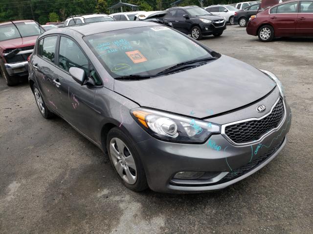 KIA NULL 2016 knafk5a82g5630084