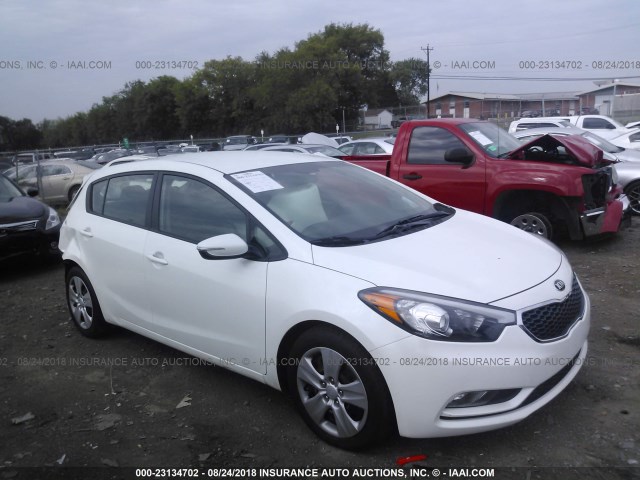 KIA FORTE 5-DOOR 2016 knafk5a85g5646814