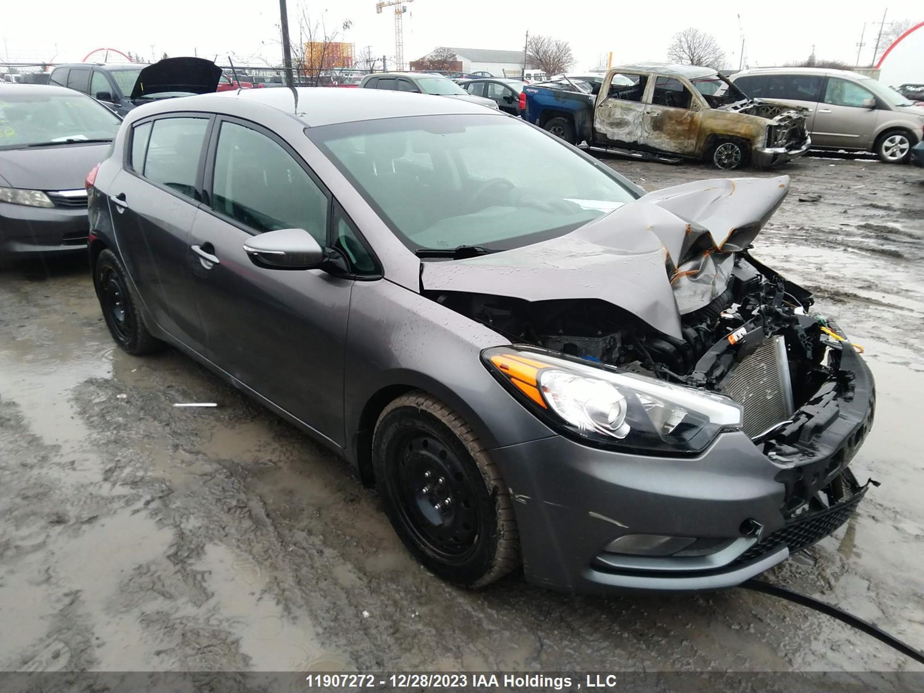 KIA FORTE 2016 knafk5a87g5448686