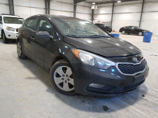 KIA FORTE LX 2016 knafk5a87g5585305