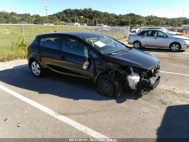 KIA FORTE 5-DOOR 2016 knafk5a87g5650573