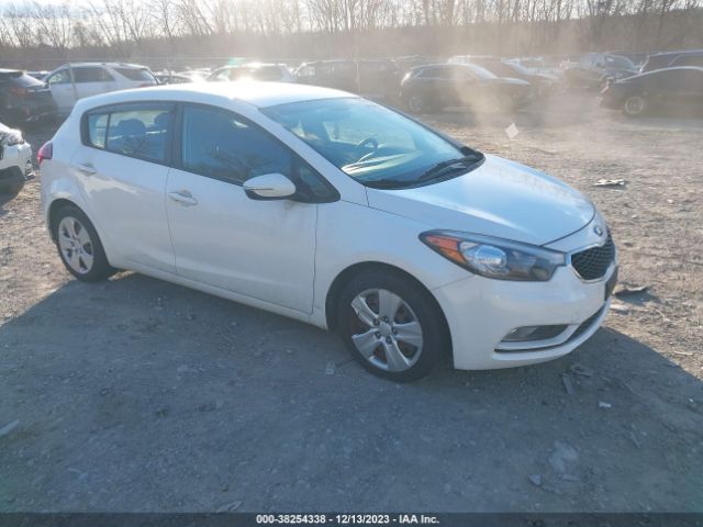 KIA FORTE 2016 knafk5a89g5583992