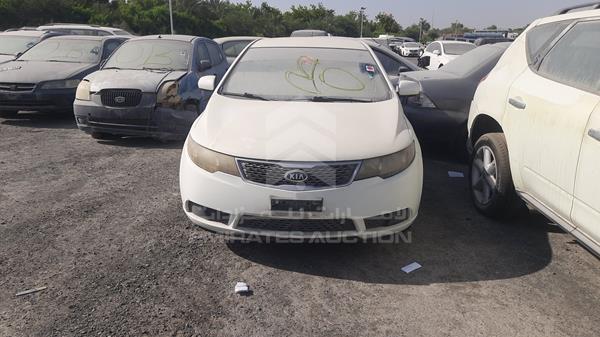 KIA CERATO 2011 knaft4111b5352023