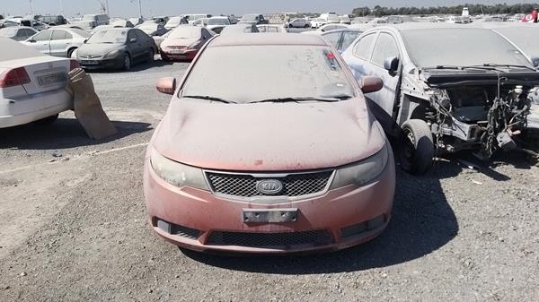 KIA CERATO 2010 knaft4118a5826158