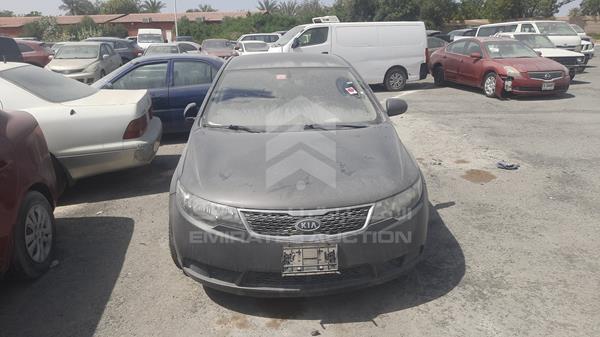 KIA CERATO 2013 knaft411xd5788825