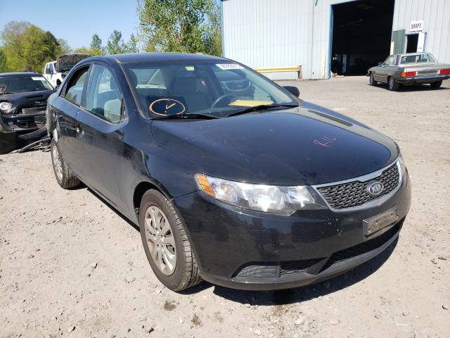 KIA FORTE LX 2013 knaft4a20d5665253