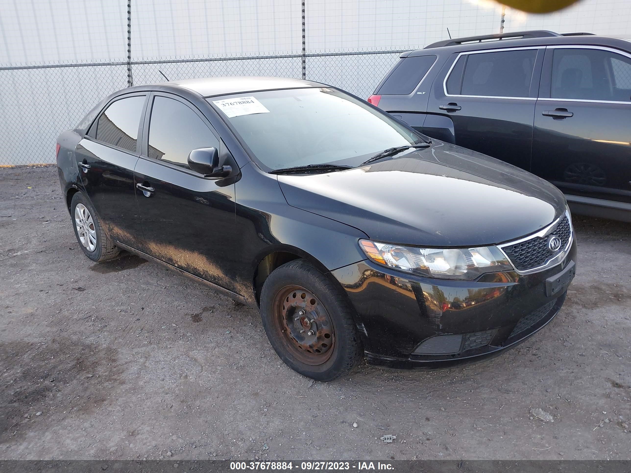 KIA FORTE 2013 knaft4a20d5707338