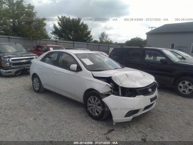 KIA FORTE 2010 knaft4a21a5060024