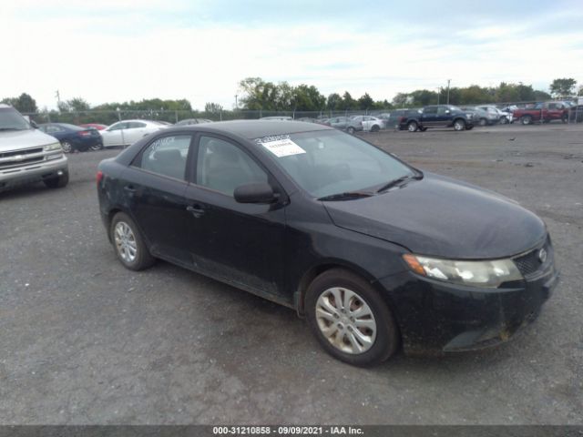 KIA FORTE 2010 knaft4a21a5815804