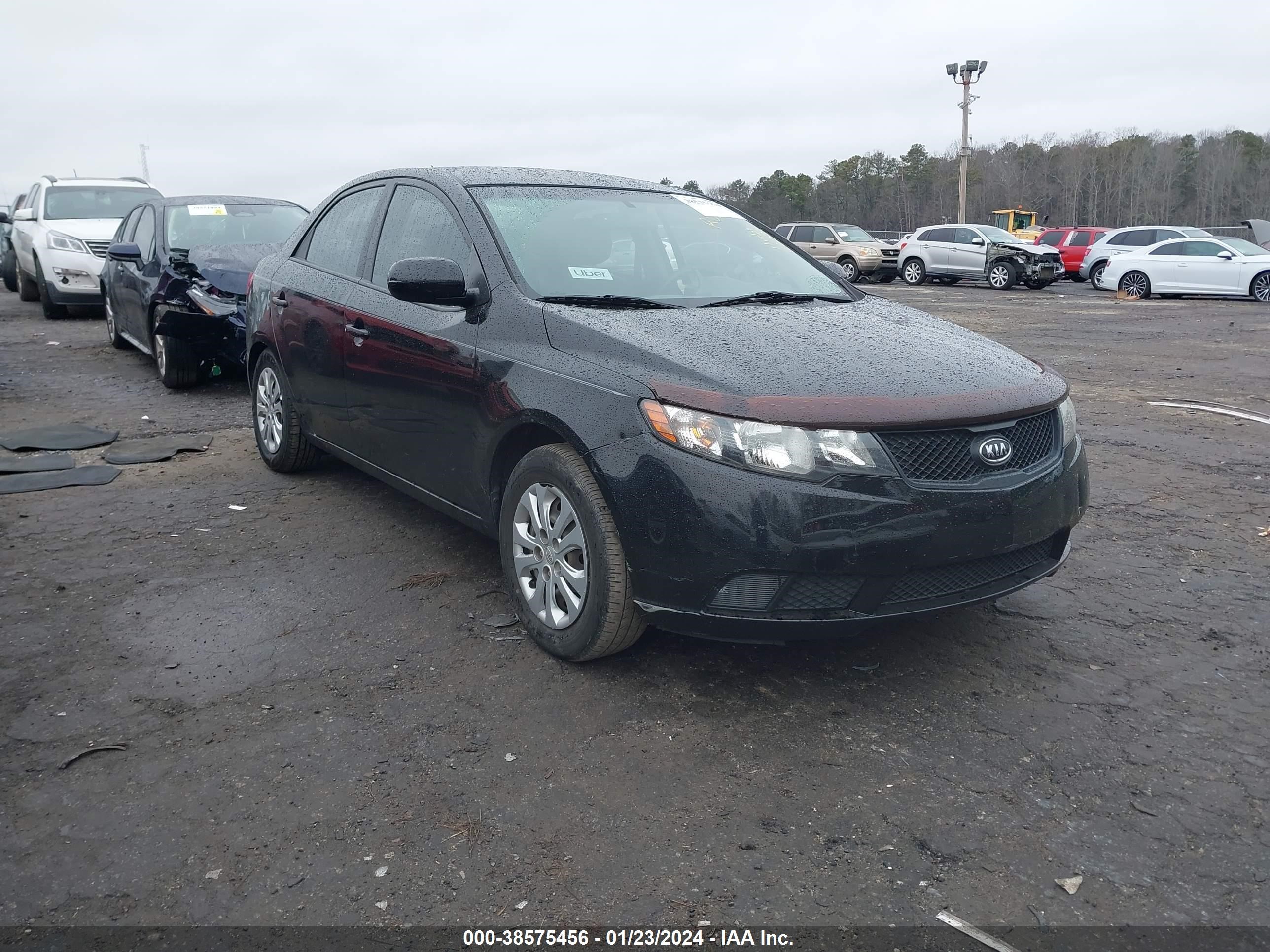 KIA FORTE 2010 knaft4a21a5846034