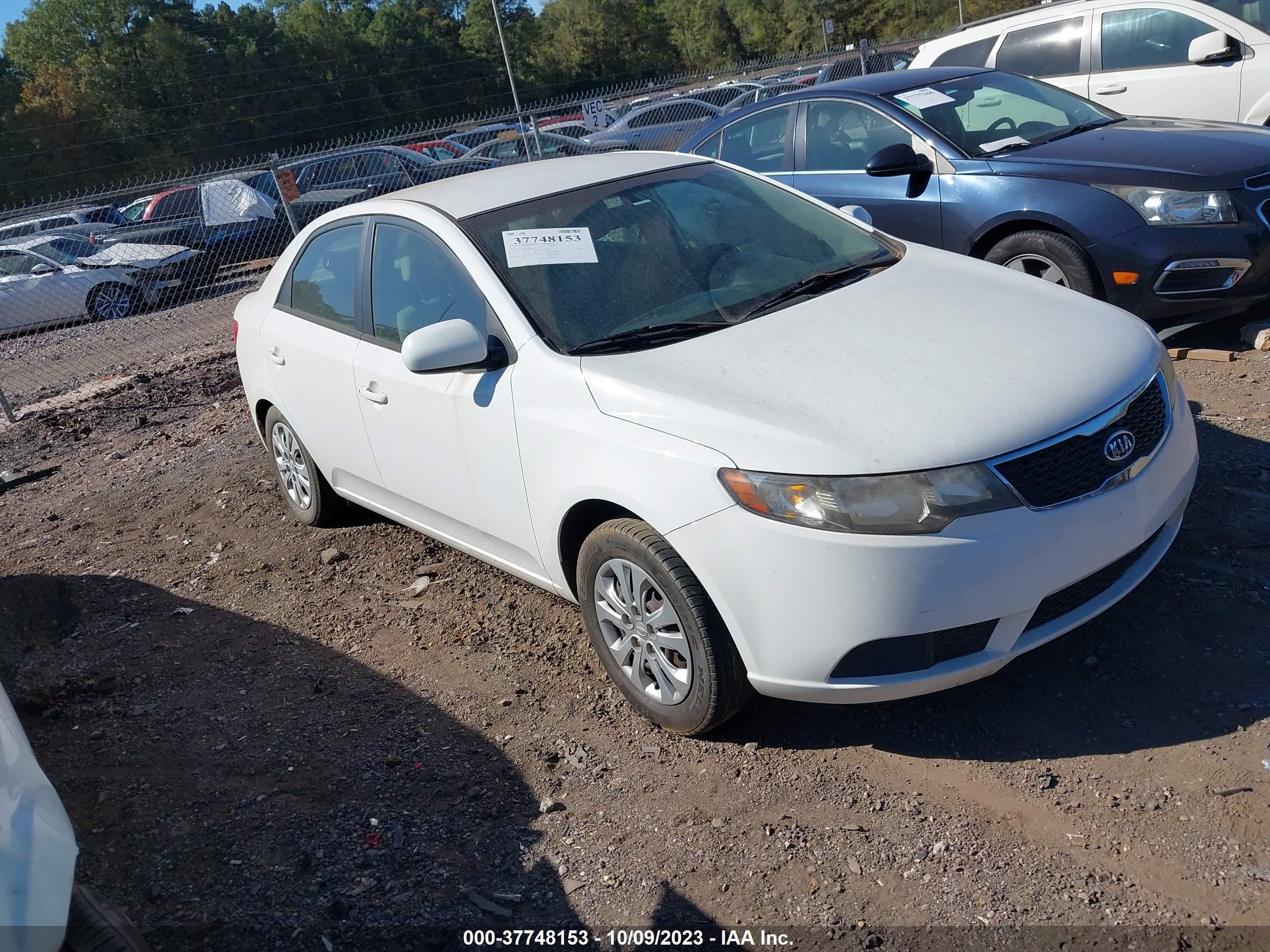 KIA FORTE 2011 knaft4a21b5404016