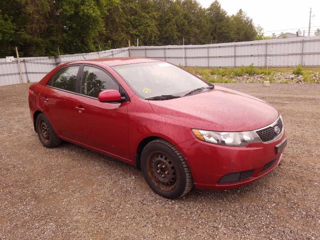 KIA FORTE LX 2011 knaft4a21b5415145