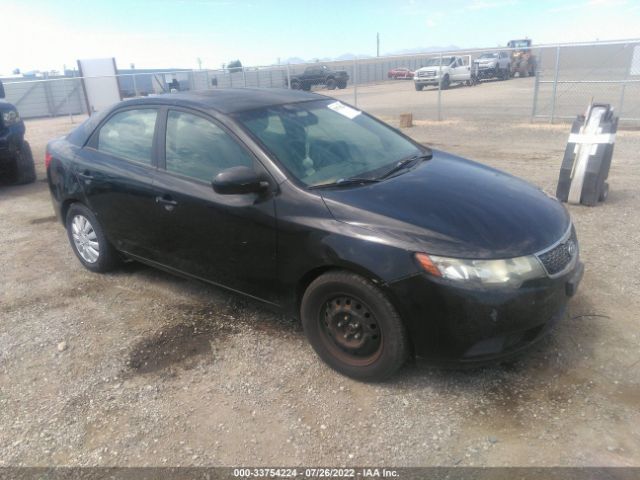 KIA FORTE 2012 knaft4a21c5559585