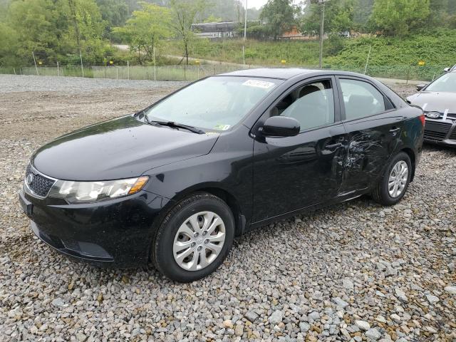 KIA FORTE 2012 knaft4a21c5602838