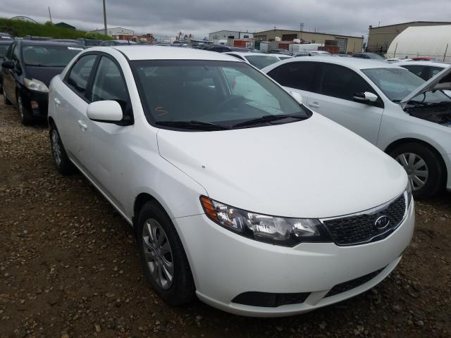 KIA FORTE LX 2013 knaft4a21d5661194