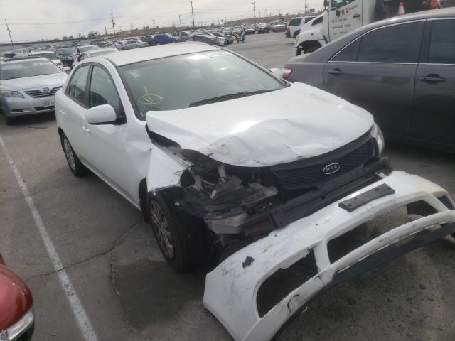 KIA FORTE LX 2013 knaft4a21d5677704