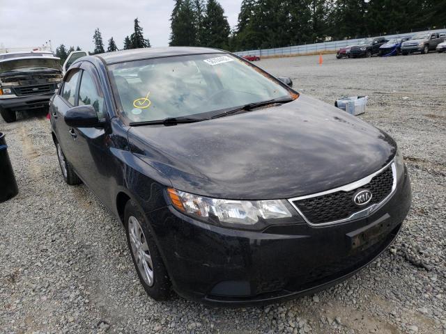 KIA FORTE LX 2013 knaft4a21d5706263