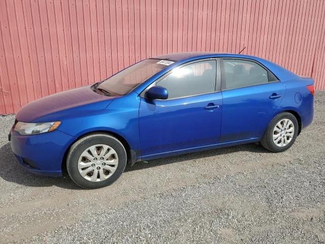 KIA FORTE 2010 knaft4a22a5234540