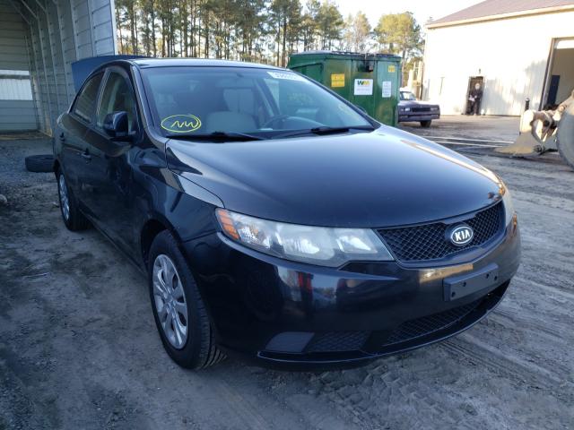 KIA FORTE LX 2010 knaft4a22a5301010