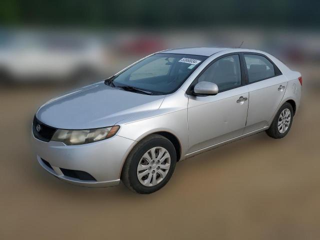 KIA FORTE 2010 knaft4a22a5812264