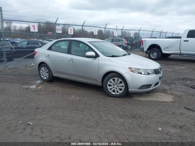 KIA FORTE 2012 knaft4a22c5517894