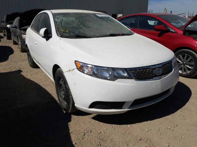 KIA FORTE LX 2013 knaft4a22d5660376