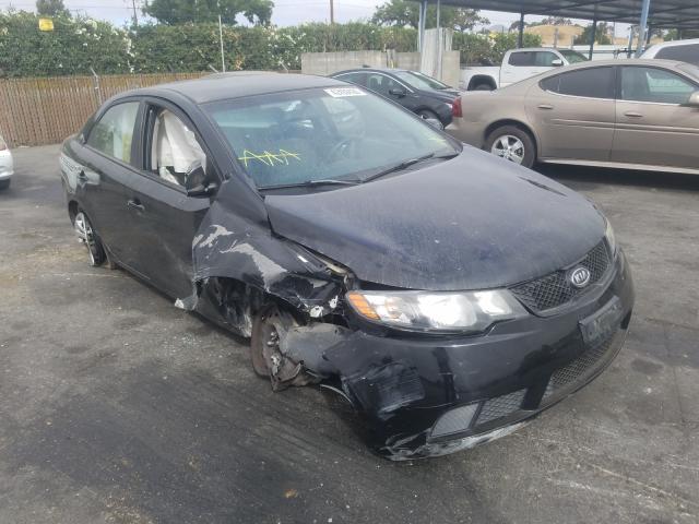 KIA FORTE LX 2010 knaft4a23a5049509