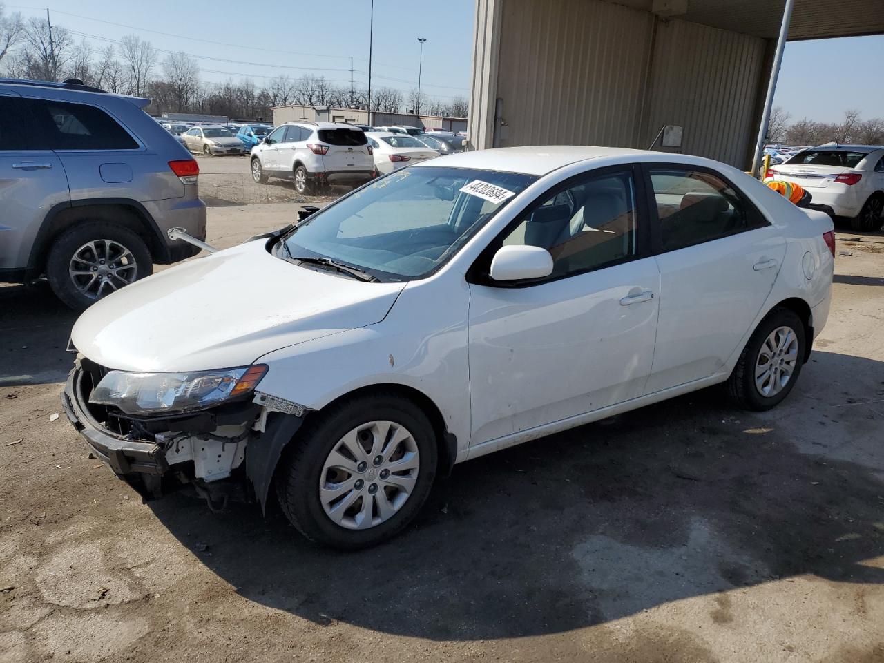 KIA FORTE 2010 knaft4a23a5053270