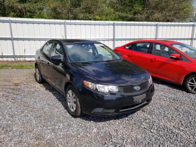 KIA FORTE LX 2010 knaft4a23a5099245