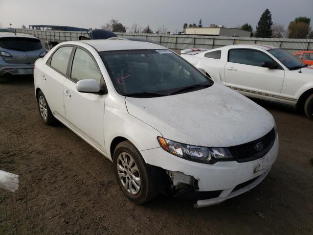 KIA FORTE 2010 knaft4a23a5112902