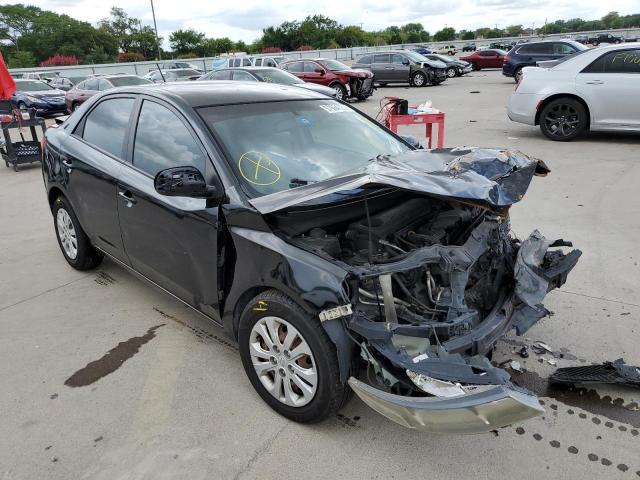 KIA FORTE LX 2010 knaft4a23a5857441