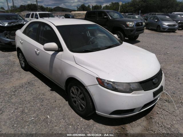 KIA FORTE 2010 knaft4a23a5858718