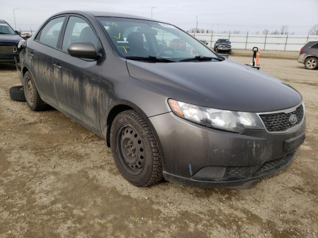 KIA FORTE LX 2012 knaft4a23c5590689