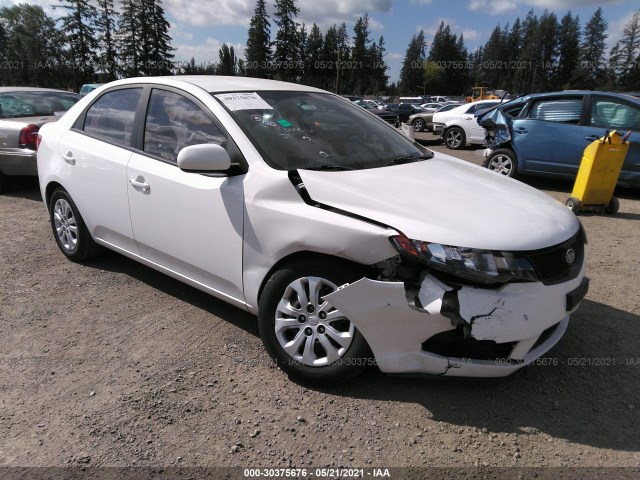 KIA FORTE 2010 knaft4a24a5051656