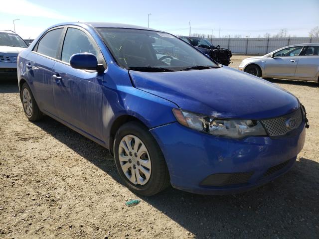 KIA FORTE LX 2010 knaft4a24a5093020