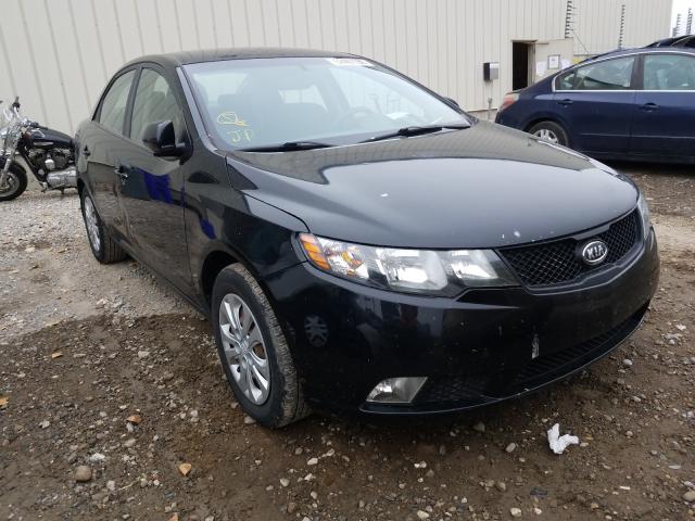 KIA FORTE LX 2010 knaft4a24a5277082