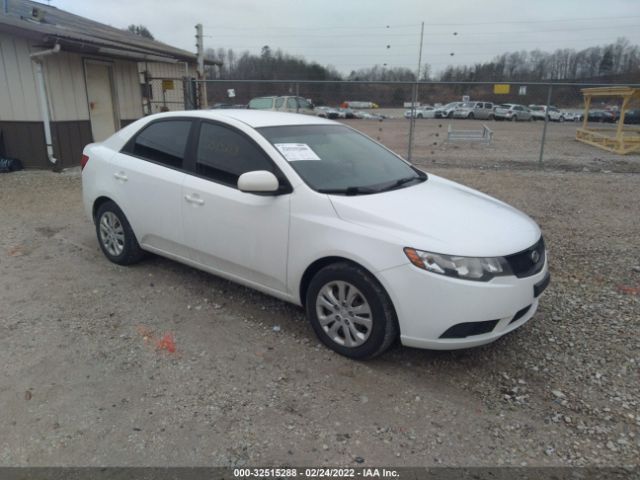 KIA FORTE 2010 knaft4a24a5300361