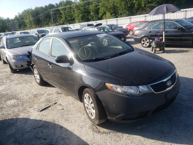 KIA FORTE LX 2011 knaft4a24b5323155