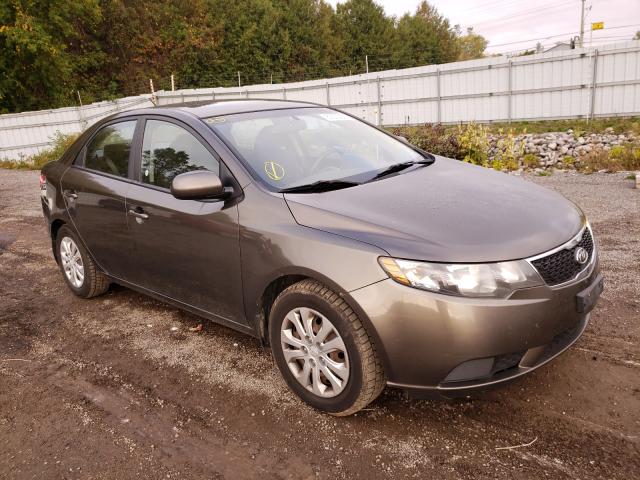 KIA FORTE LX 2011 knaft4a24b5407377