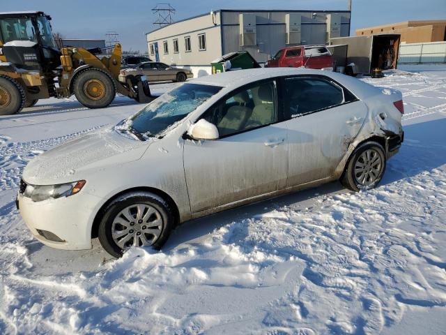 KIA FORTE 2011 knaft4a24b5434451