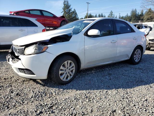 KIA FORTE 2012 knaft4a24c5487829