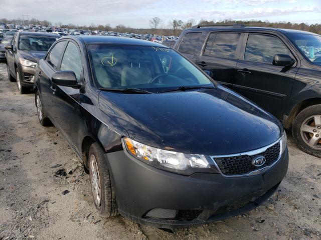 KIA FORTE LX 2013 knaft4a24d5704331