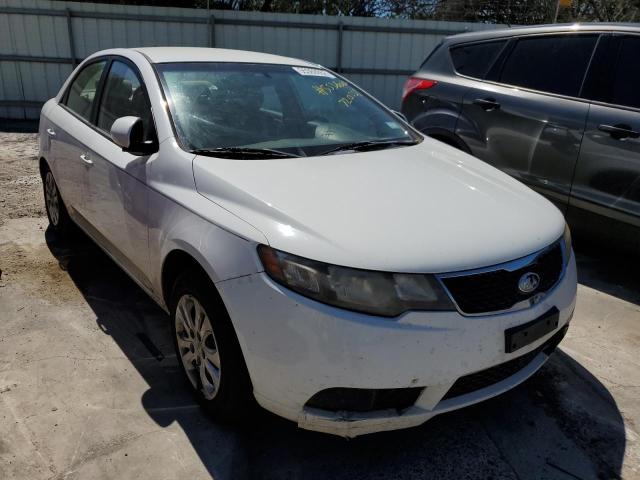 KIA FORTE LX 2013 knaft4a24d5720531