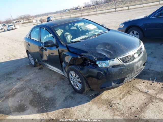 KIA FORTE 2013 knaft4a24d5721727