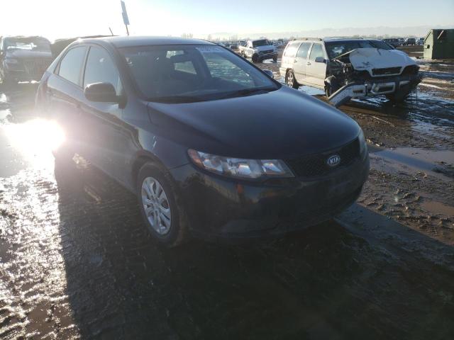 KIA FORTE LX 2010 knaft4a25a5304256