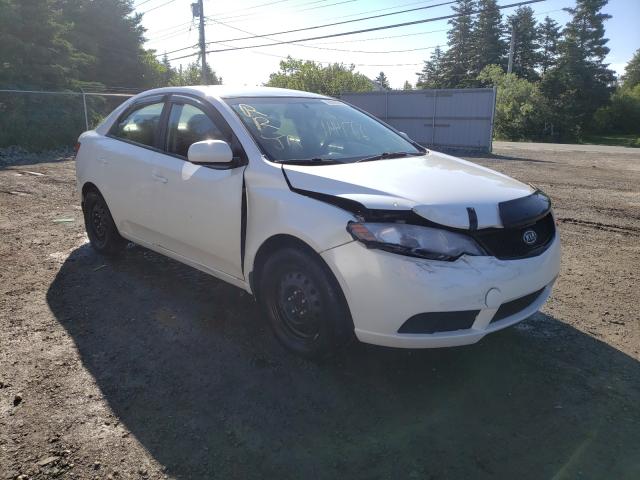 KIA FORTE LX 2010 knaft4a25a5310865