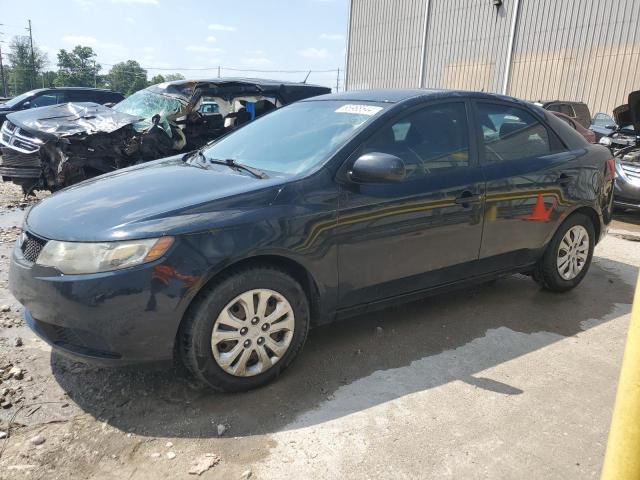 KIA FORTE 2010 knaft4a25a5875195