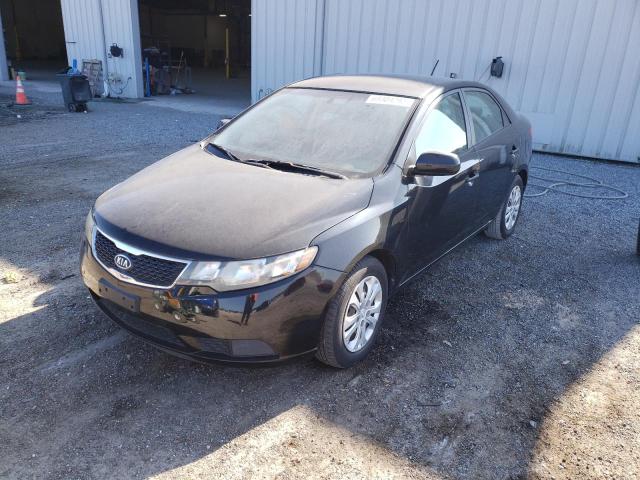 KIA FORTE LX 2011 knaft4a25b5330499